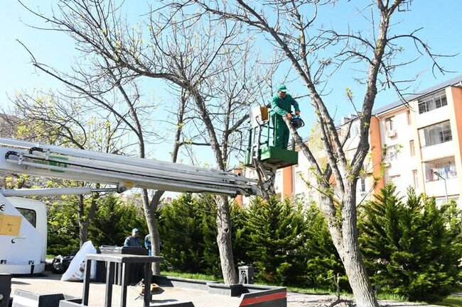 Paytaxtda növbəti daxili iməclik keçirilib