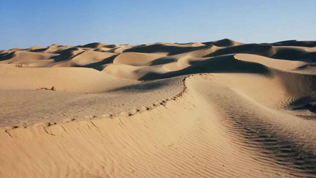 Çin Polşa boyda səhrada 66 milyard ağac əkib: Nə dəyişib?