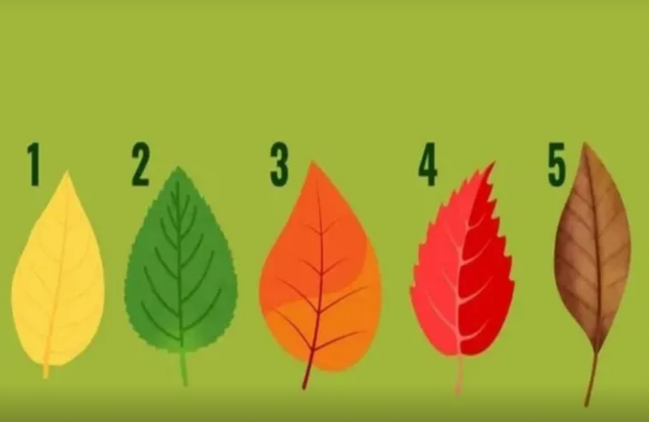 Hansı sahədə uğur qazanmaq üçün ən böyük şansınız var: TEST