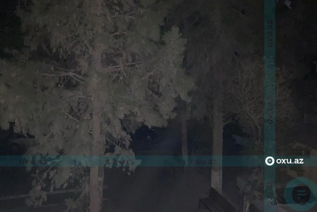 Xırdalanda hər gün qaranlığa qərq olan küçə: Sakinlər şikayət edirlər