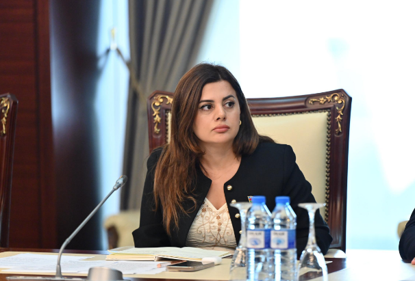 "20 Sentyabr – Dövlət Suverenliyi Günü, xalqımızın azadlıq və müstəqillik uğrunda apardığı mübarizənin simvoludur" - DEPUTAT