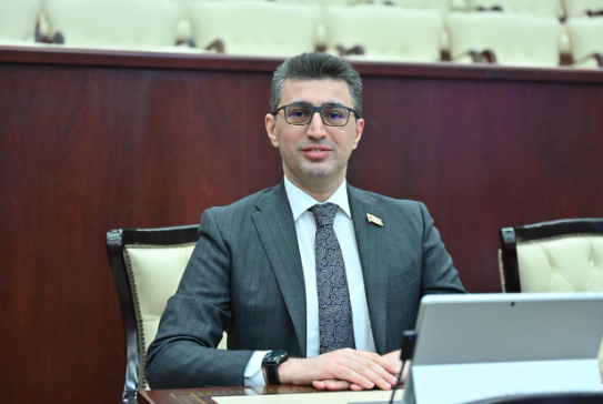 "Hər bir xalqın milli varlığını yaşadan əsas amillərdən biri onun ana dilidir" - DEPUTAT