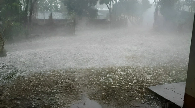 Qaxda dolu meyvə ağaclarına və təsərrüfatlara ziyan vurdu