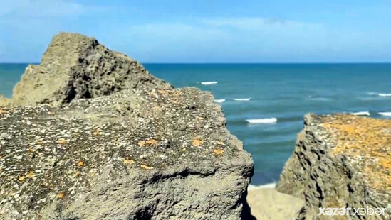 Buzovna sahillərində nə baş verir? Araşdırma aparılır-VİDEO