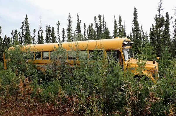 Məktəb avtobusundan 23 kiloqram dinamit çıxdı