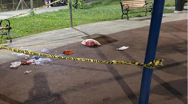 Parkda silahlı dava: 2 nəfər ağır yaralandı