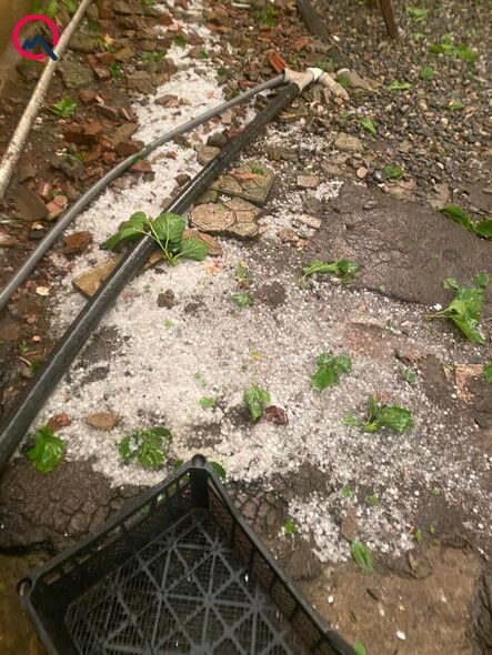 Bölgələrdə güclü külək əsdi, dolu düşdü - FOTO