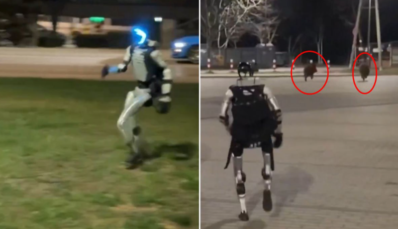 Dünya bu görüntüdən danışır! Robot şəhəri xilas etdi - VİDEO