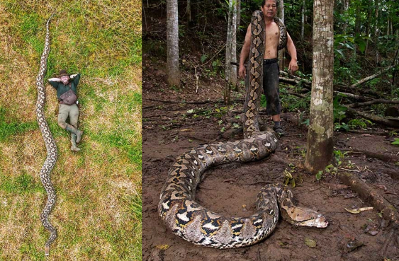 İndoneziyada dünyanın ən uzun ilanı tapılıb