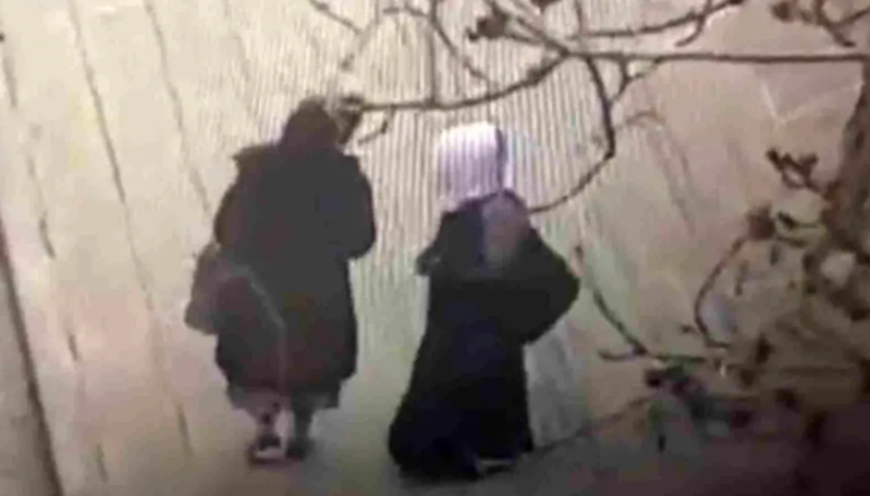 Dilənçilik bəhanəsi ilə yaxınlaşdığı qadının çantasını kəsib pulunu oğurladı - VİDEO