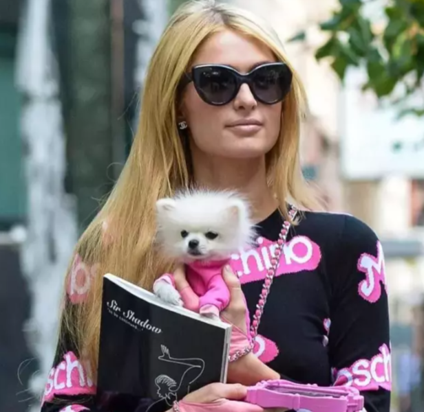 Bu məşhurlar itlərini klonlaşdırıb - Fotolar