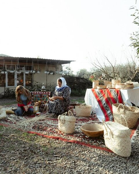 Prezident ailəsi Lənkəranda fermer təsərrüfatı ilə tanış oldu - Fotolar
