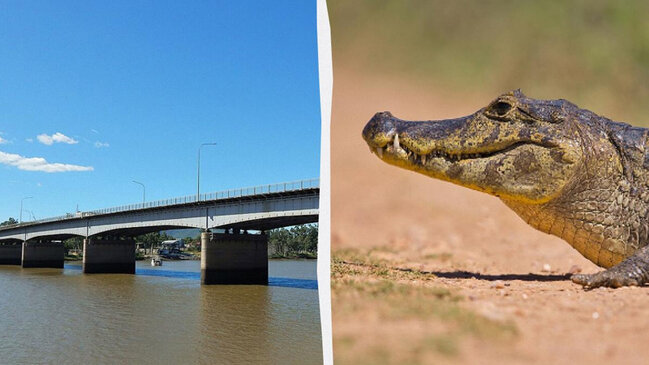 Timsahların yaşadığı çay Olimpiya yarışları üçün təsdiqləndi