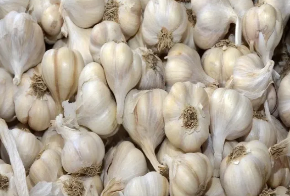 Sarımsağı soyuducuda saxlamaq olarmı?