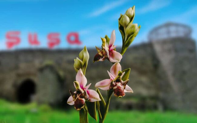 Qarabağın tacı – Şuşa şəhəri günü