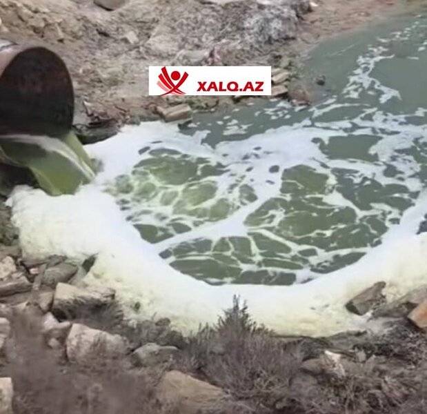 Masazır duz gölündə antisanitariya - Kanalizasiya birbaşa gölə axıdılır-Video