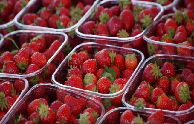 Bazara çiyələk almağa gedəndə özünüzlə salfet götürün: Ağıllı hiylə