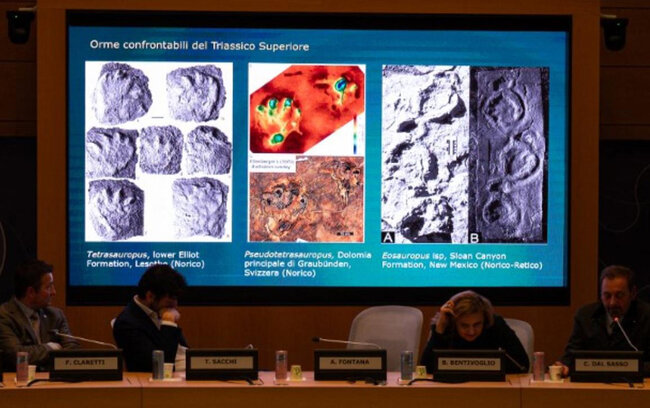 İtaliyada minlərlə dinozavr izi aşkarlandı - 200 milyon ildən çox yaşı var
