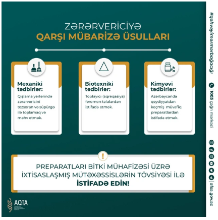 Şəki-Zaqatala bölgəsini zərərverici həşəratlar "zəbt edib": Dövlət qurumundan TÖVSİYƏ