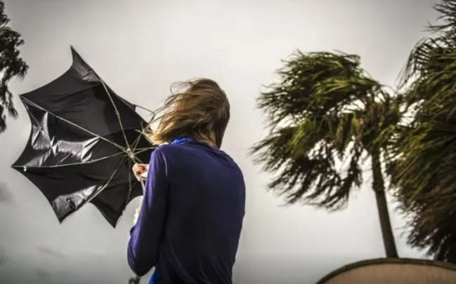 Sabah güclü külək əsəcək - XƏBƏRDARLIQ