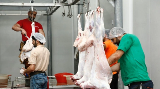 Naxçıvanda qurbanlıq heyvanların satış və kəsim yerləri açıqlanıb