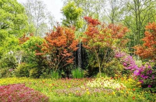 Şəxsiyyət testi: İndiki həyatınız necədir?