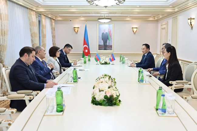 Sahibə Qafarova Kamboca Senatının sədr müavini ilə əməkdaşlığı müzakirə edib