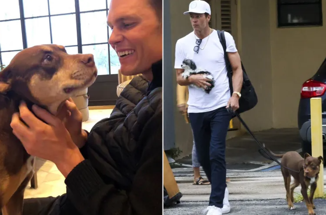 Bu məşhurlar itlərini klonlaşdırıb - Fotolar