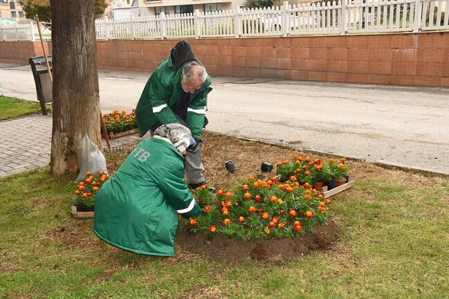 Güclü yağışdan sonra paytaxtda genişmiqyaslı daxili iməclik keçirilib