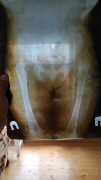 Aytənin köməyinizə ehtiyacı var