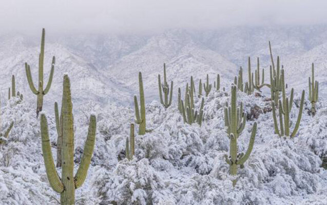 ABŞ-nin ən isti səhrasına qar yağdı