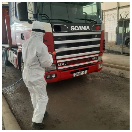 Şəki-Zaqatala bölgəsini zərərverici həşəratlar "zəbt edib": Dövlət qurumundan TÖVSİYƏ