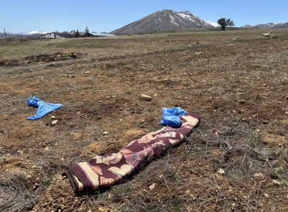 İtlər 72 yaşlı kişini öldürüb