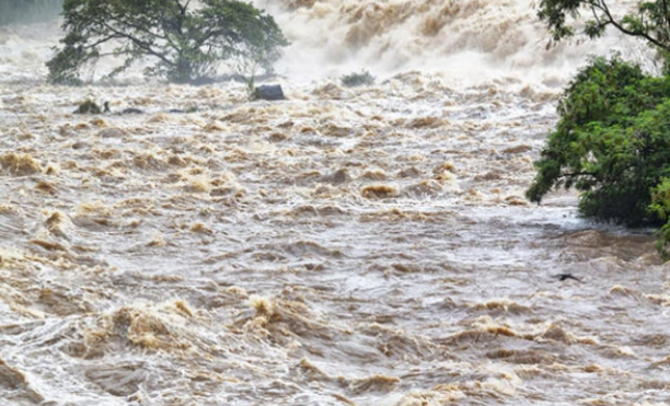 Goranboyda güclü sel: Bəzi kəndlərə gediş-gəliş dayandı - Rəsmi şəxslər ezam olundular