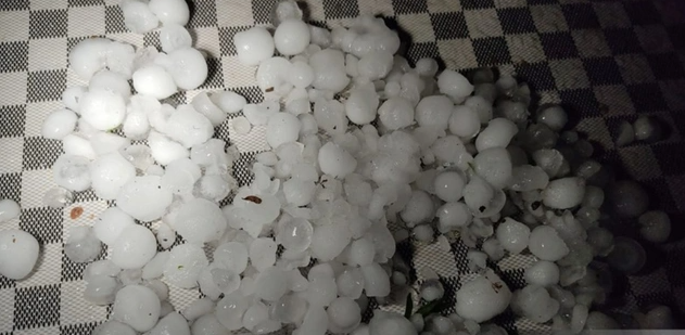 Güclü külək, leysan: Axşam saatlarında düşən dolu yenidən təsərrüfata ziyan vurdu