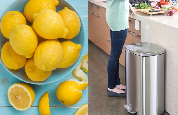 Evdar qadınlara məsləhət: Zibil qabına limon atın