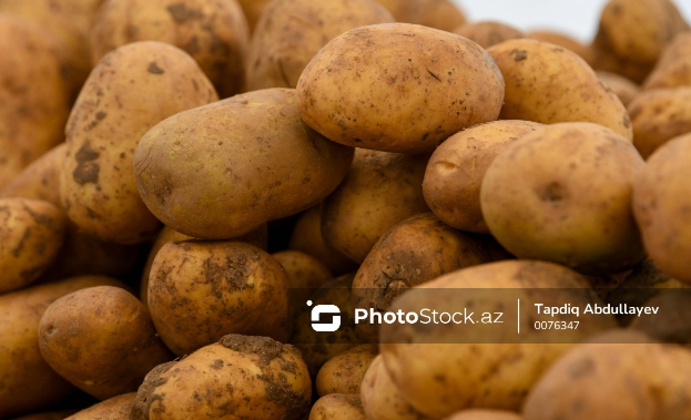 Həkim kartofu günün altında saxlamağın zərərlərindən danışıb