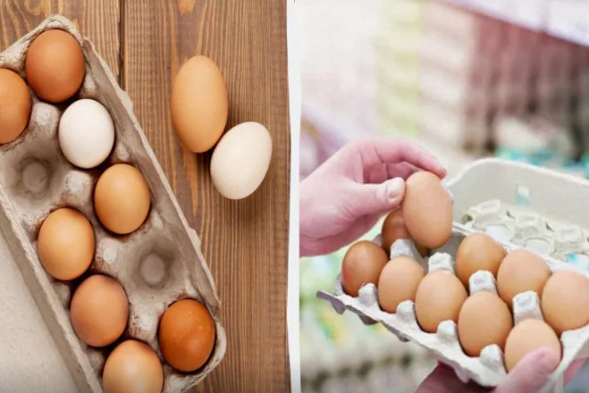 Soyuducuda yalnız bu yumurta saxlanmalıdır