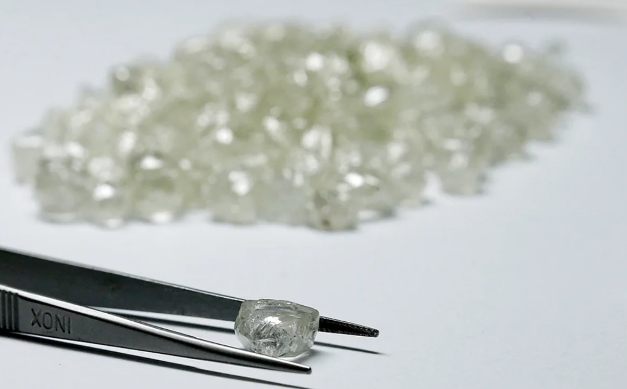 İnsanlar brilyantlara sevgini şimpanzelərdən miras alıblar - Araşdırma