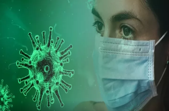 Yeni yarasa virusu və yeni pandemiya riski XƏBƏRDARLIĞI