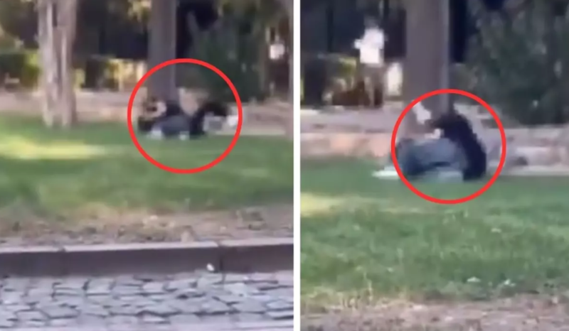 İki gənc qız küçədə sevgili üstündə əlbəyaxa dava etdi - VİDEO