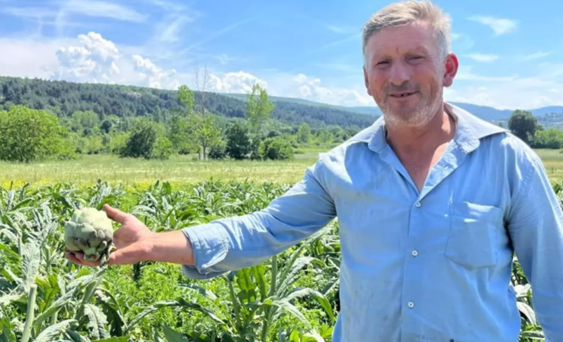 1 illik zəhmət bir gecədə məhv oldu: Beynəlxalq dəyəri olan məhsul oğurlandı