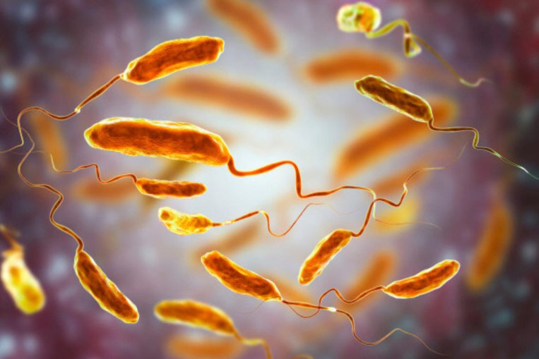 Bu ölkədə epidemiya DƏHŞƏTİ - Ölü sayı 374-ə çatdı