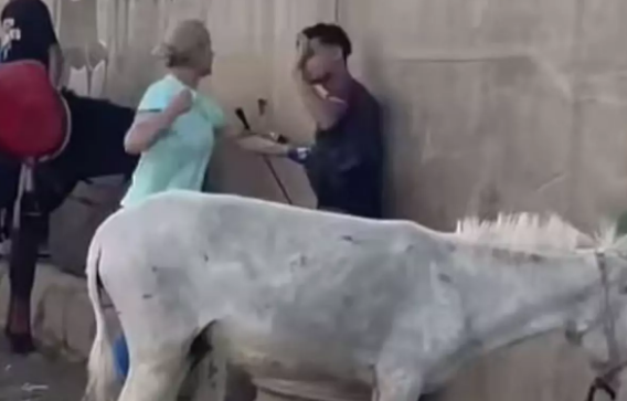 Gənc qadın eşşəyi döyən kişini əvvəlcə yumruqla vurdu, sonra qamçı ilə onu təqib etdi - VİDEO