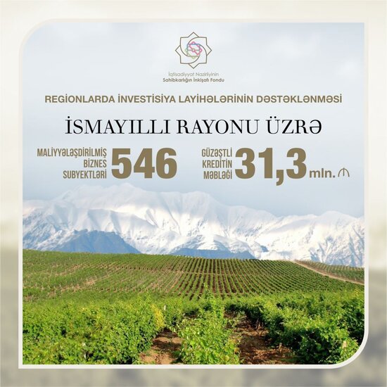 İsmayıllıda sahibkarlara 31 mln. manatdan çox güzəştli kredit verilib - Mikayıl Cabbarov