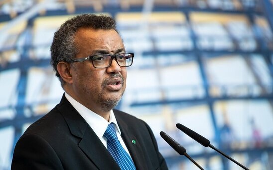 ÜST rəhbərindən Nizami Gəncəvi Beynəlxalq Mərkəzinin fəalı ilə bağlı paylaşım