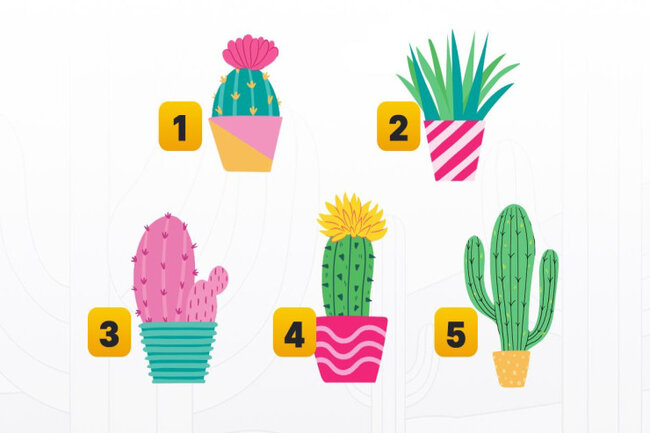 Gülməli TEST: insanın şəxsiyyətini heyrətamiz dəqiqliklə təsvir edir