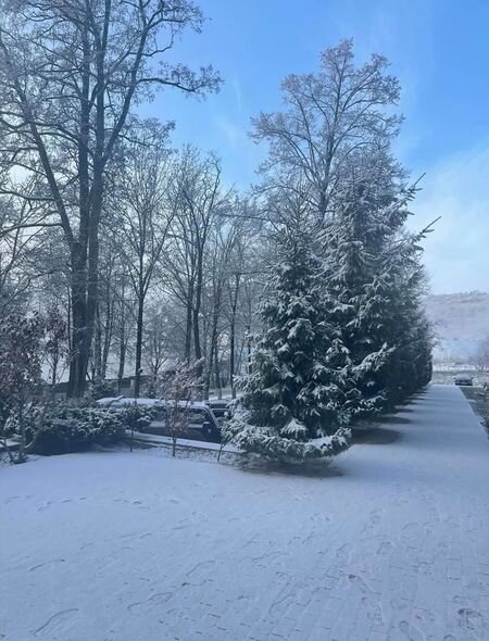 Şuşa, Kəlbəcər və Laçında qarlı hava şəraiti davam edəcək - FOTO