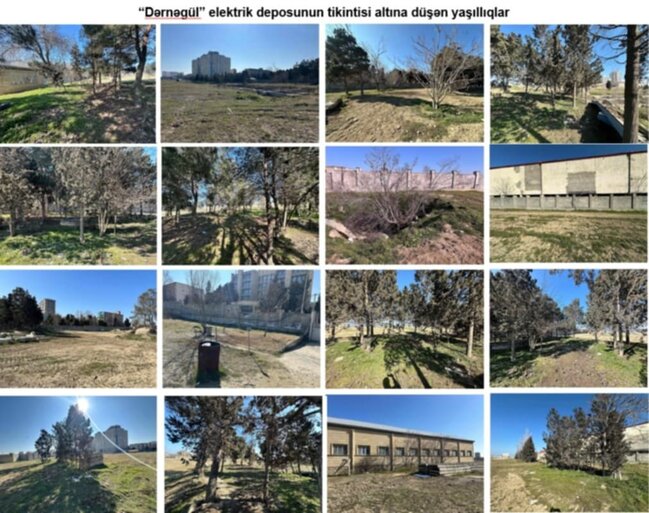 Dərnəgüldəki yeni metro deposunun ətrafında 1000-ə yaxın ağac əkiləcək