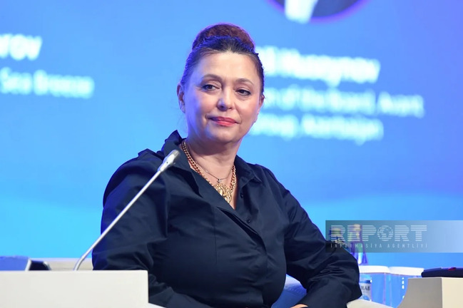 Simonida Kordiç: "Azərbaycan Monteneqronun ən mühüm investorlardan biridir"